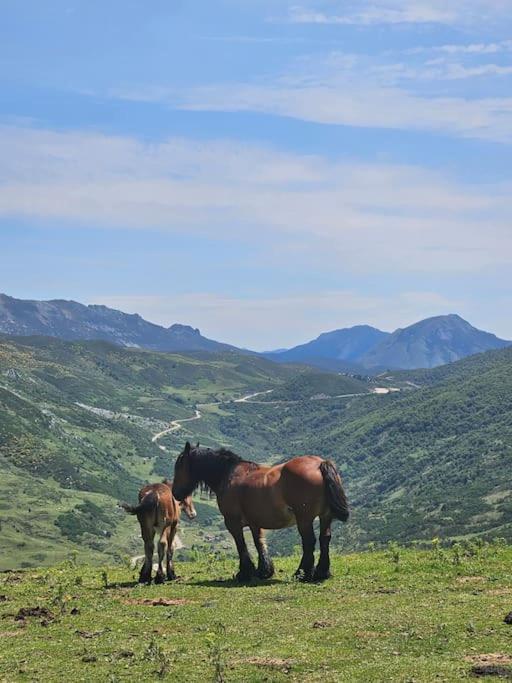 Appartamento La Casina Del Alce Aller Esterno foto